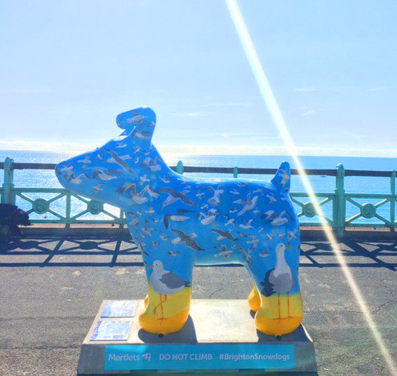 Snow Dogs By the Sea