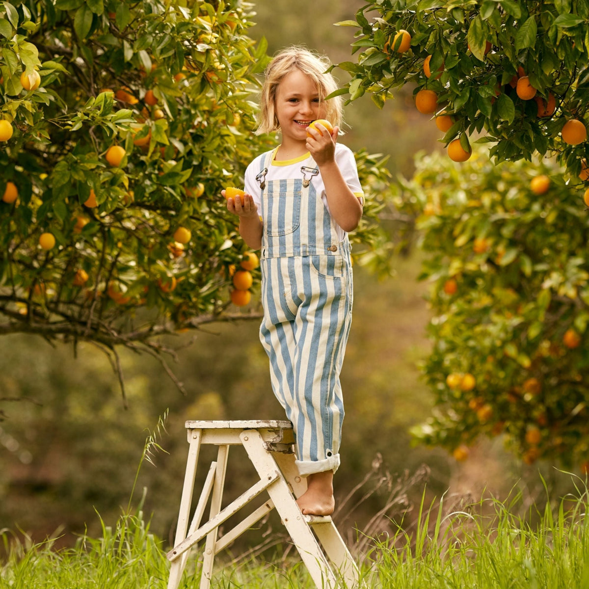 Classic Wide Stripe Denim Dungarees - Blue