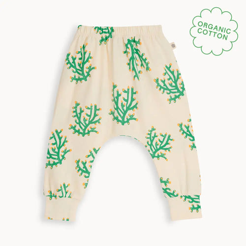 Coast - Coral Hareem Pant - The bonniemob 