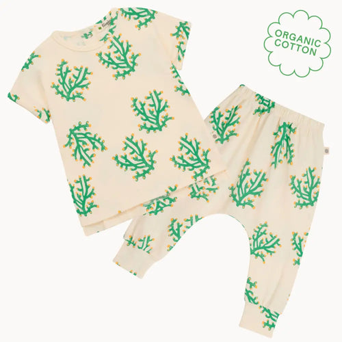 Cruz & Coast Set - Coral T-Shirt & Legging Set - The bonniemob 